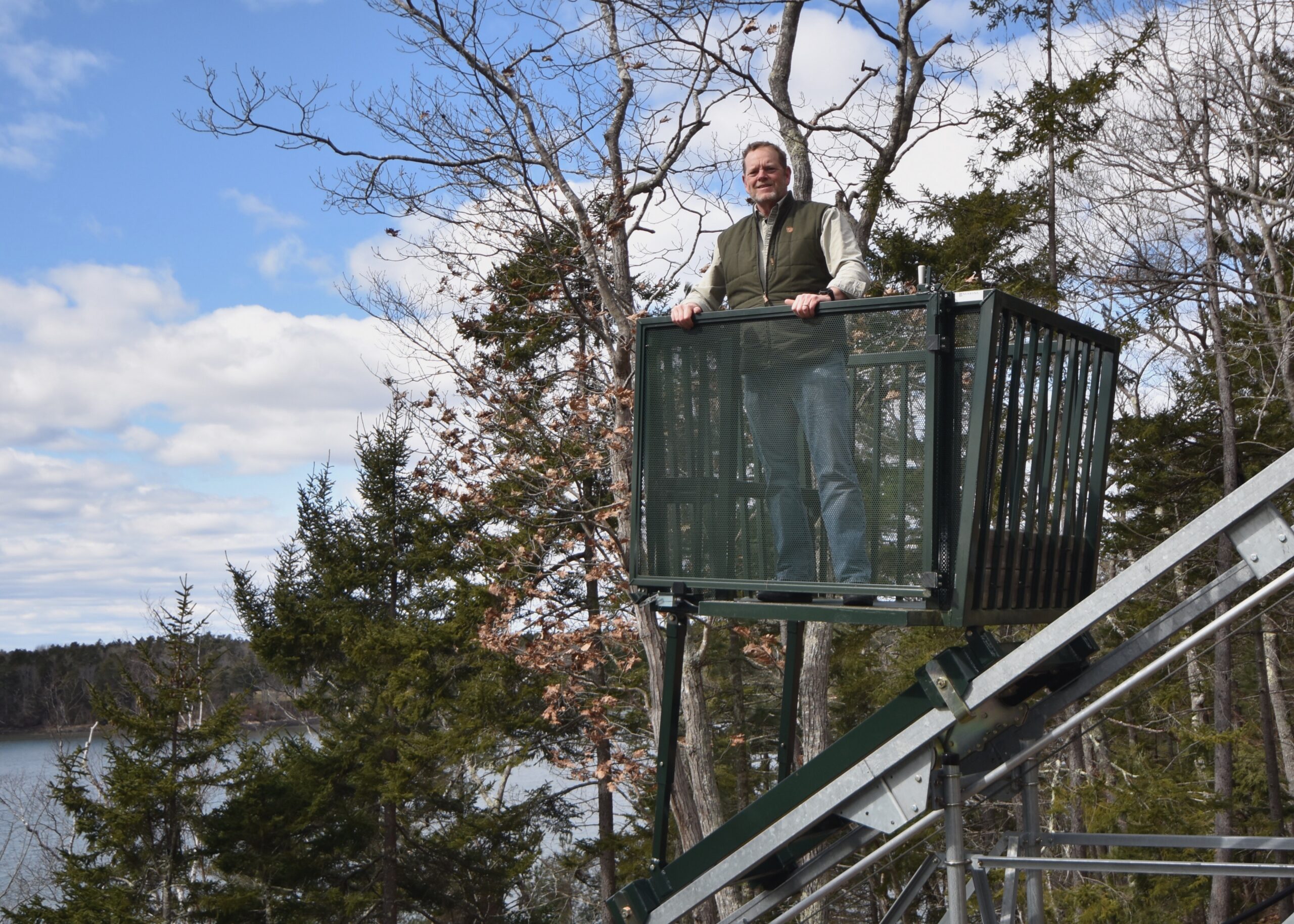 Man standing on observation platform above wooded lakeshore